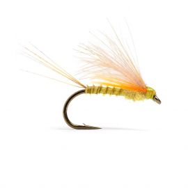 Guideline Cdc Biot Dun Emerger, PMD