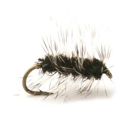 Guideline Griffiths Gnat