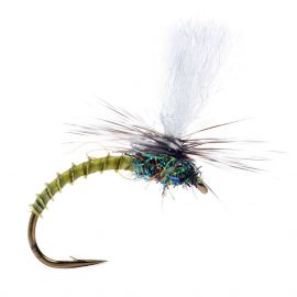 Guideline Klink Black Biot