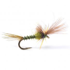 Guideline Quigley Cripple Baetis