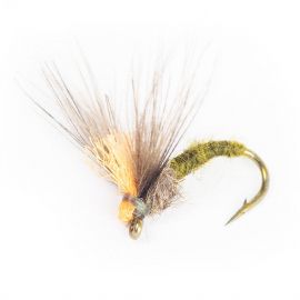 Guideline Antonios Emerger BWO