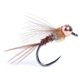 Guideline Sweet Pheasant