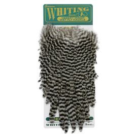 Hebert Hen Saddles - Hennensattel