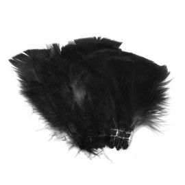 Intruder Feather Prop Hackle