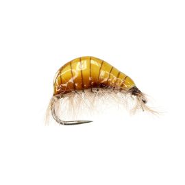 Jan Rozman Gammarus, caramel