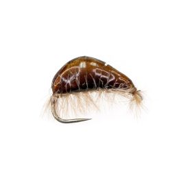 Jan Rozman Gammarus, dark brown
