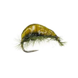 Jan Rozman Gammarus, olive