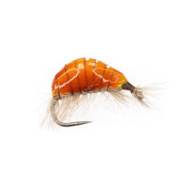 Jan Rozman Gammarus, yellow-orange