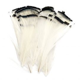 Hareline Lady Amherst Tippets Diamantfasan Federn