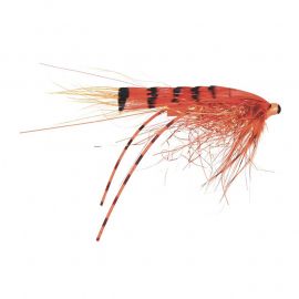 Mikael Frödin Micro Series - G.P Special
