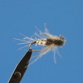 MP 96 - CDC Heptagenia nymph, grey