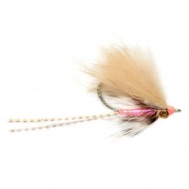 Ollys Stand Up Shrimp