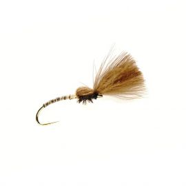 McPhail Grunter Olive