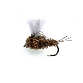 PraWu (Prager Wuzel)