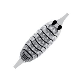 Pro Gammarus SW (Saltwater) Shellback, clear