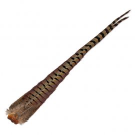 Ringneck Pheasant Tail Clumps, natural