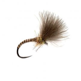 Quill CDC Emerger Natural
