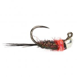 Roza French Bomb, barbless