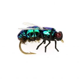 Blow Fly Realistic, green