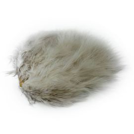 Whiting Super Bou Federn