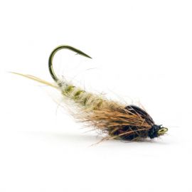 Marc Petitjean MP 64 - CDC Caddis, beige