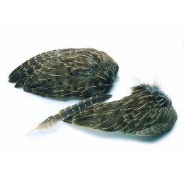 Veniard English Partridge Wings