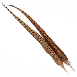 Zwei lange, naturbraun gestreifte Fasanenstoßfedern (Cock Pheasant Centre Tails, Natural) von Veniard nebeneinanderliegend auf weißem Hintergrund mit ausgeprägter dunkler Querbänderung und elastischen Fibern. 