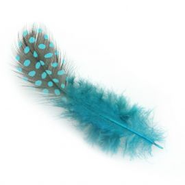 Guinea Fowl Plumage Hackles