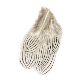 Veniard Silver Pheasant Body Feathers