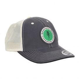 Vision Nymphmaniac Dad Cap, ash