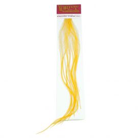 Whiting 100's Dry Fly Saddle, White Dyed Golden Straw