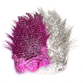 Whiting 4B Rooster Saddle Sattelbalg zum Fliegenbinden