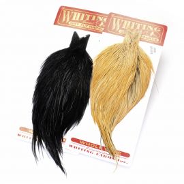 Whiting Pro Grade Red Label Cape, ganzer Balg