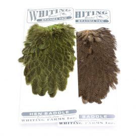 Whiting Brahma Saddle Hennensattel