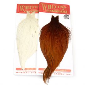 Whiting Bronze Grade Cape, ganzer Balg