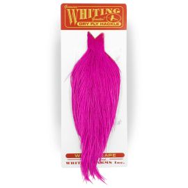 Whiting Commercial Grade Cape, ganzer Balg