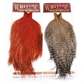 Whiting Coq de Leon Cape, ganzer Balg