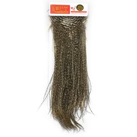 Whiting Rooster Saddle Hahnensattelbalg, Gold Grade