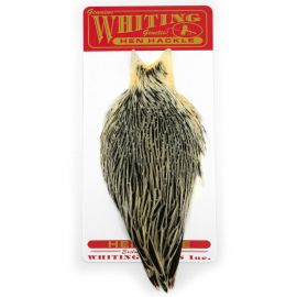 Whiting Hen Cape