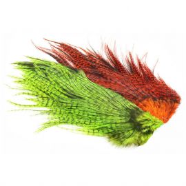 Whiting Rooster Coq de Leon Predator Packs