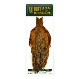 Whiting Hebert Hen Capes