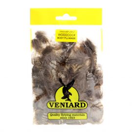 Veniard Woodcock Body Plumage