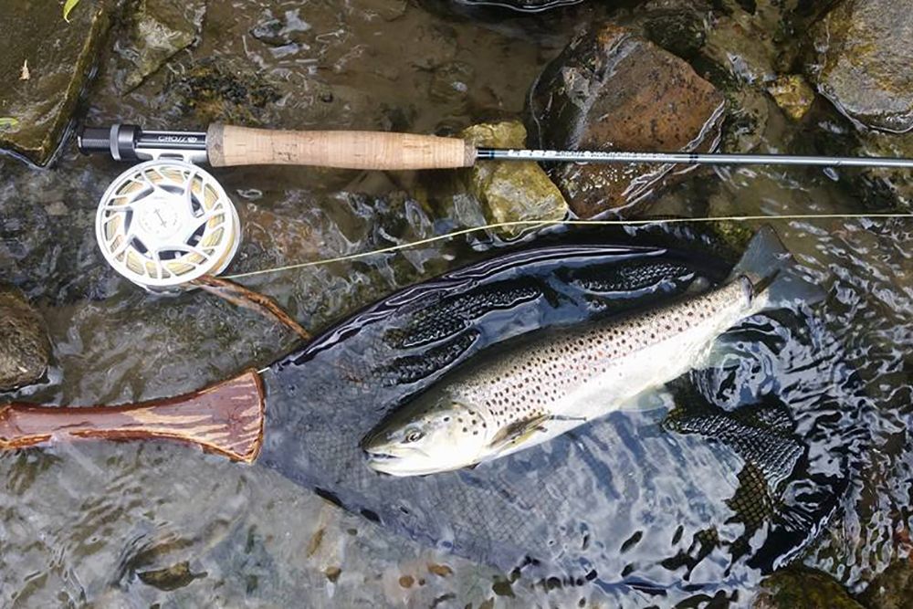 Loop / Hatch Tackle Test