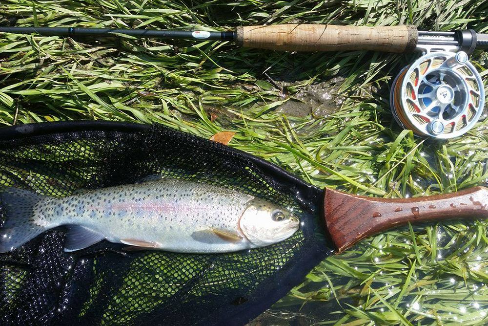 Loop / Hatch Tackle Test