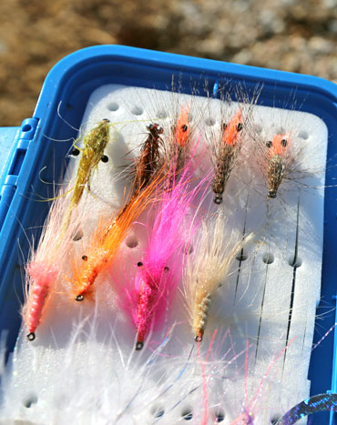 Fischen auf Meerforelle. Meerforellen Streamer, Garnelen und Futterfische