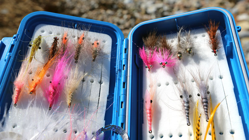 Fischen auf Meerforelle. Meerforellen Streamer, Garnelen und Futterfische